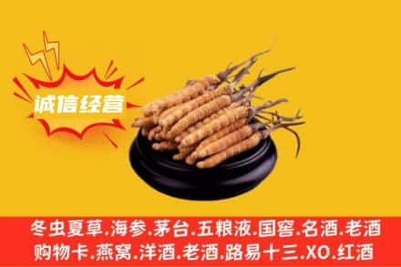 哈尔滨南岗区回收冬虫夏草